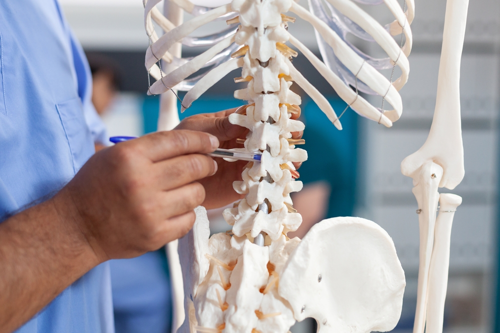 Spinal cord injury support